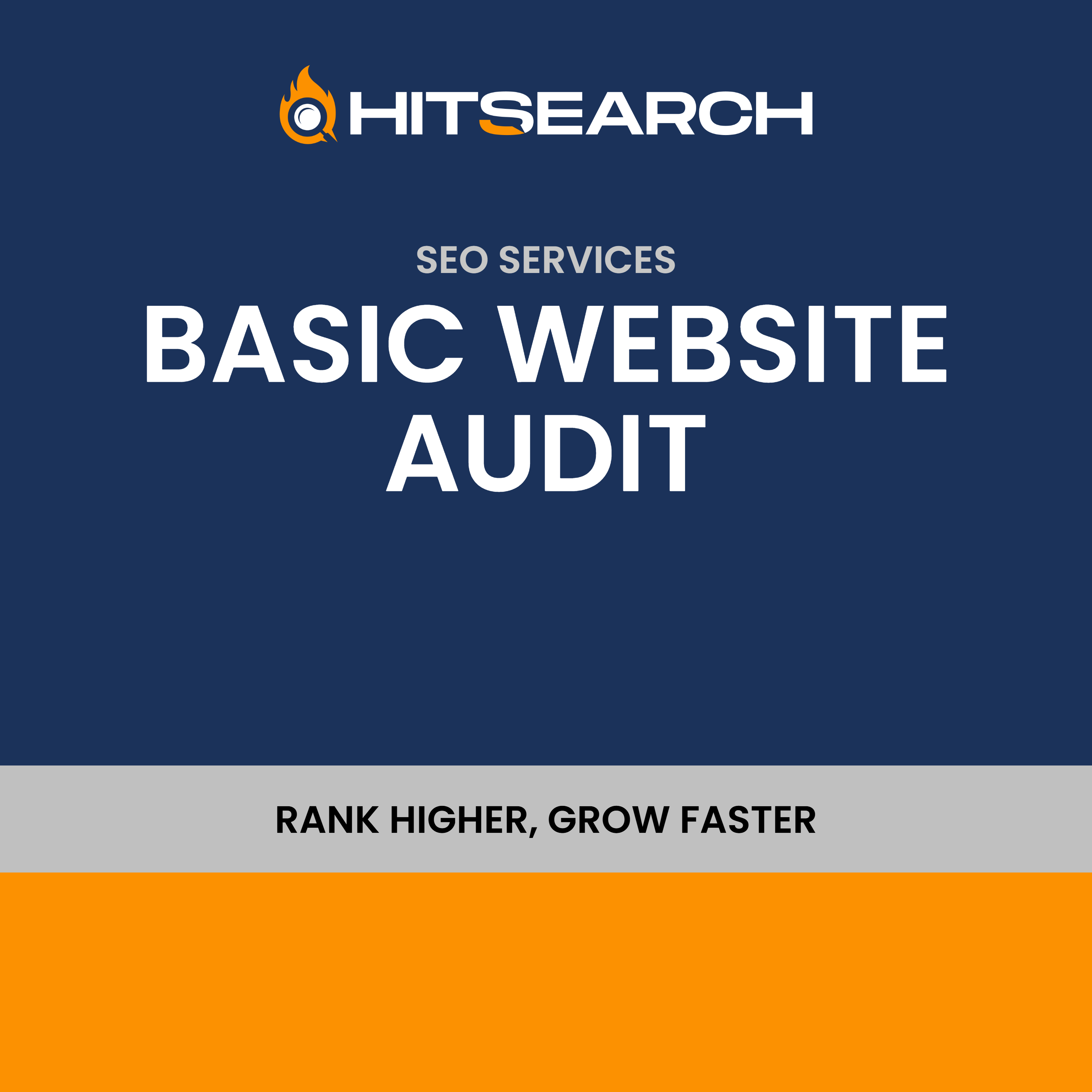Basic Website audit